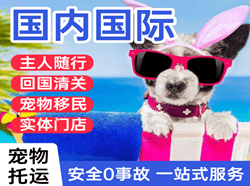 佛山航空货运国际宠物托运 【国